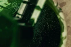 Svenskt Tenn Dyna Liggstol P6* Dynor