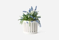 Bourg Joly Malicorne Kruka Malicorne Sur Sarthe* Krukor & Krukfat