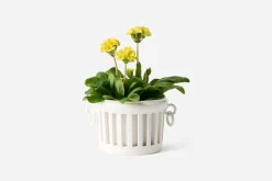 Bourg Joly Malicorne Kruka Malicorne Sur Sarthe* Krukor & Krukfat