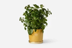 Erika Pekkari Kruka Tolvekarna* Krukor & Krukfat