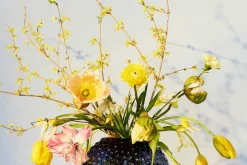 Carina Seth Andersson Vas Dagg* Vaser