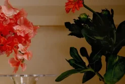 Josef Frank Vas Nr 8* Vaser