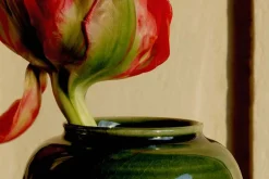 Annali Shulin Andersson Vas Oribegrön* Vaser